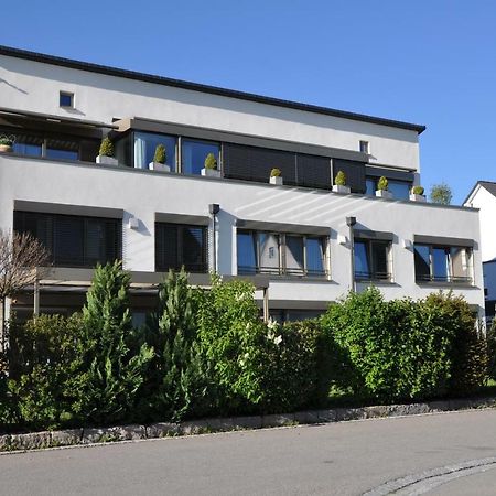 Ferienwohnung Fischbach フリードリヒスハーフェン エクステリア 写真